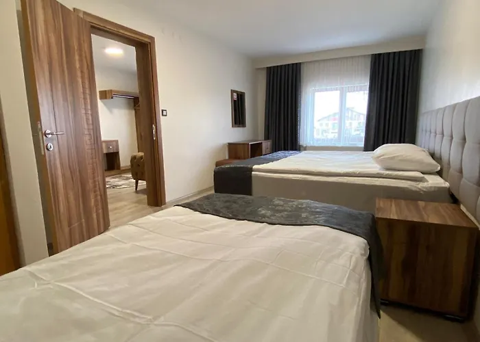 Hotels in Erciyes