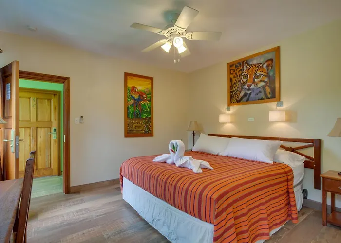 Midas Belize
