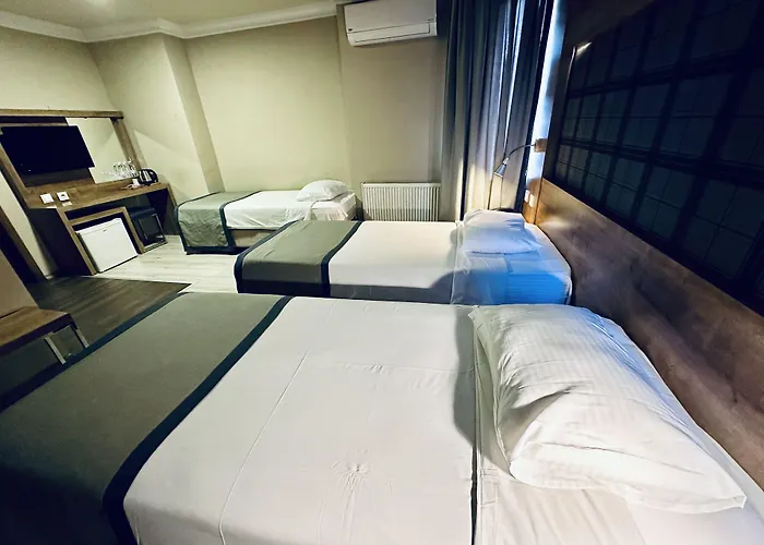 Hotels in Denizli (Denizli)
