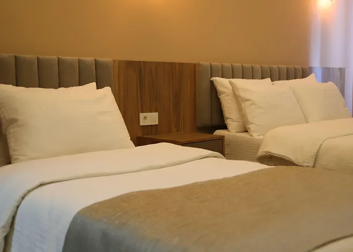 Sinop Hotels