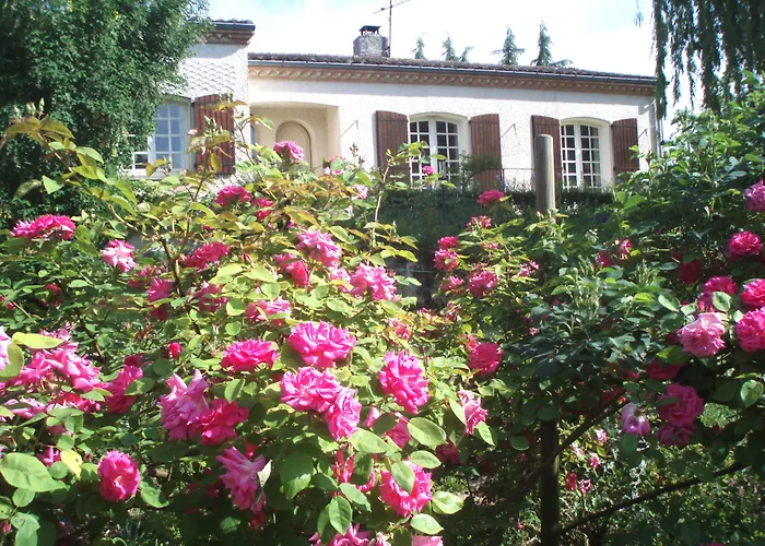 Bed and Breakfast Au Soleil D'Albi à Lescure-dʼAlbigeois
