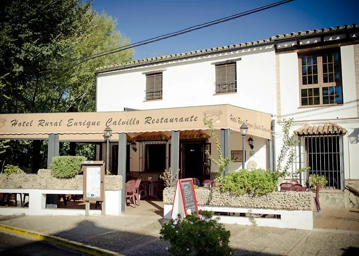 Hotel Enrique Calvillo