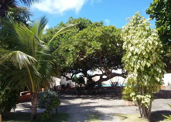 Pousada Pe De Caju Alcobaça