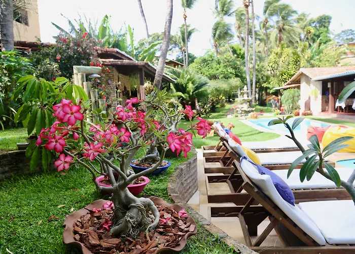 Pousada Oasis Praia de Pipa