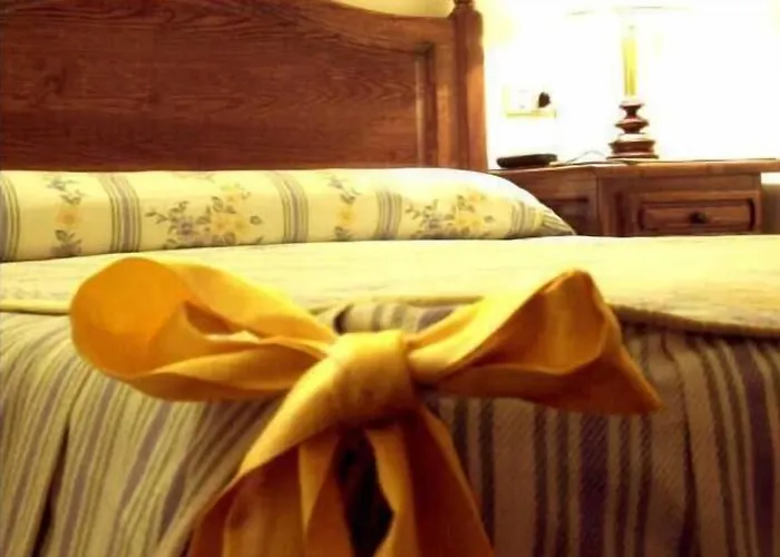Hostal Las Coronas Sos del Rey Católico