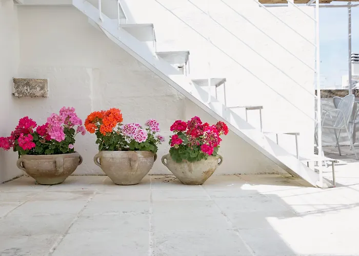 Bed and Breakfast Domus Dejana Gallipoli