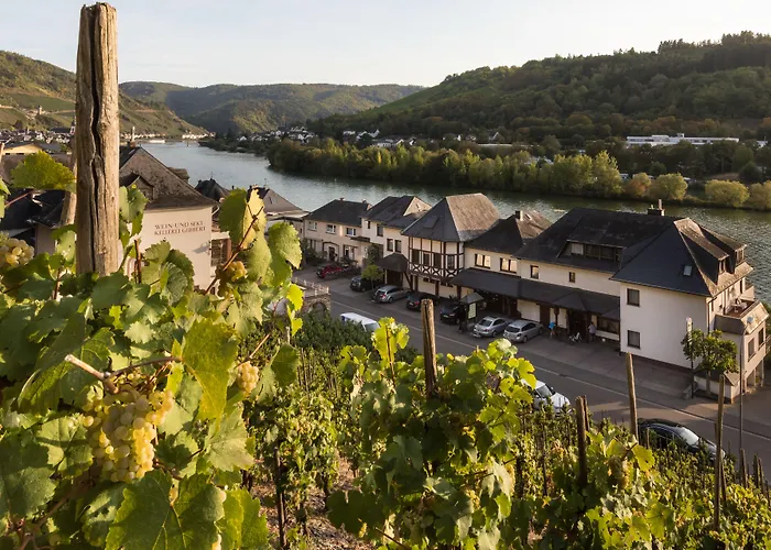 Hotels in Zell