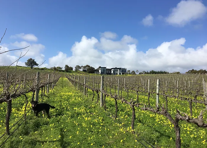 Hotel California Road At Inkwell Wines