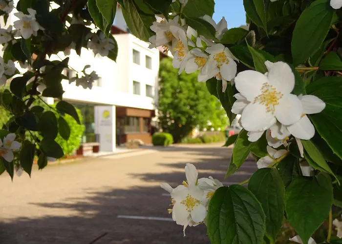 Hotel Scholz Aalen