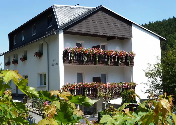 Pension Haus Waldfrieden, Meinecardplus Inklusive Willingen 