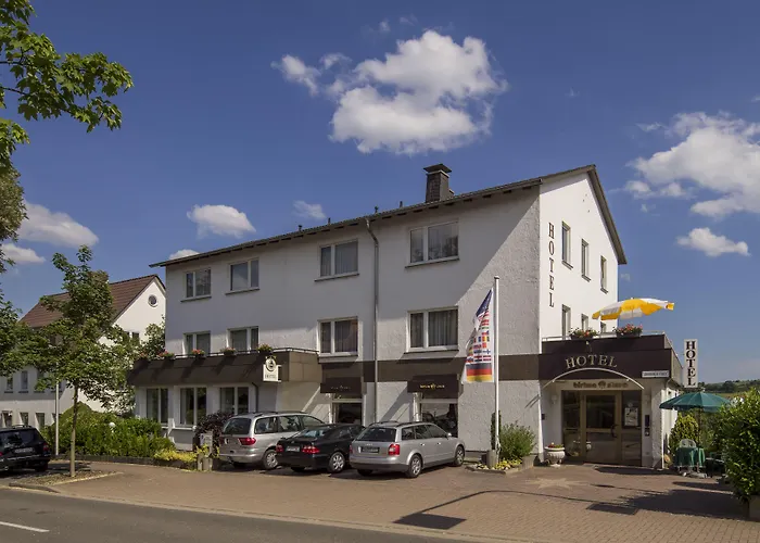 Hotel Birkenstern Bad Wildungen