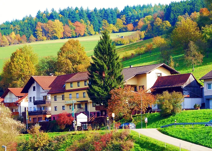 Hotel Gasthof Zur Krone Odenwald-Sterne-Hotel Oberzent