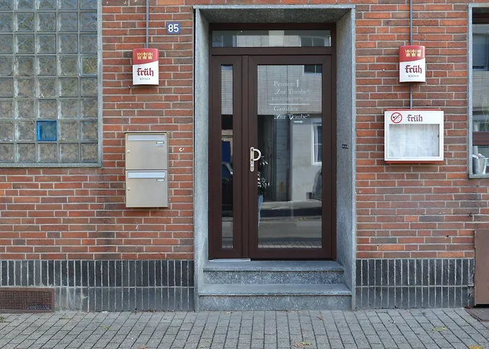 Pension Zur Traube Bergheim 