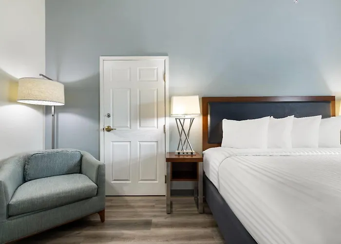 Wingate By Wyndham And Williamson Conference Center Hotel Round Rock