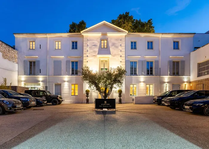 Hôtel Le Saint Remy&Spa