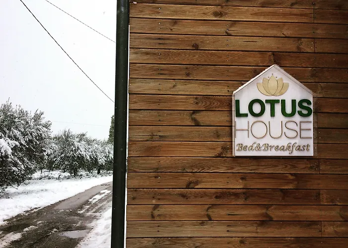 Lotus House