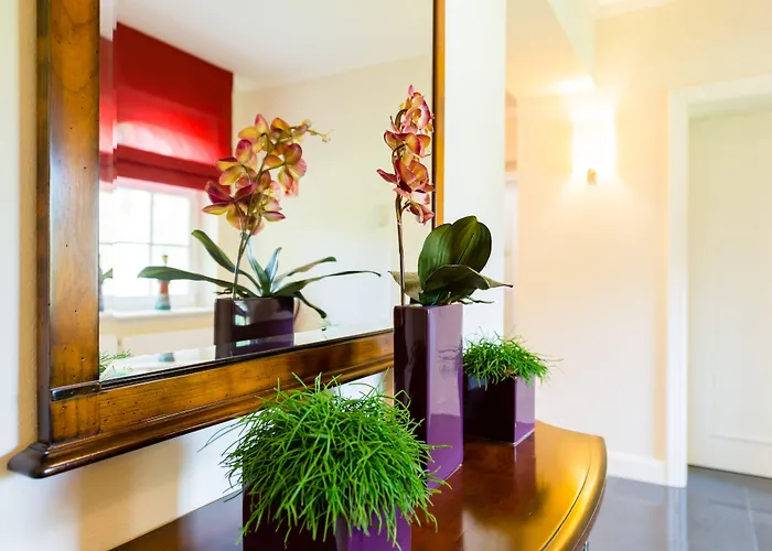 Hotels in Breitenbrunn (Saxony)