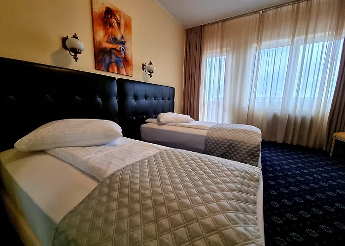Hotel Coandi Arad