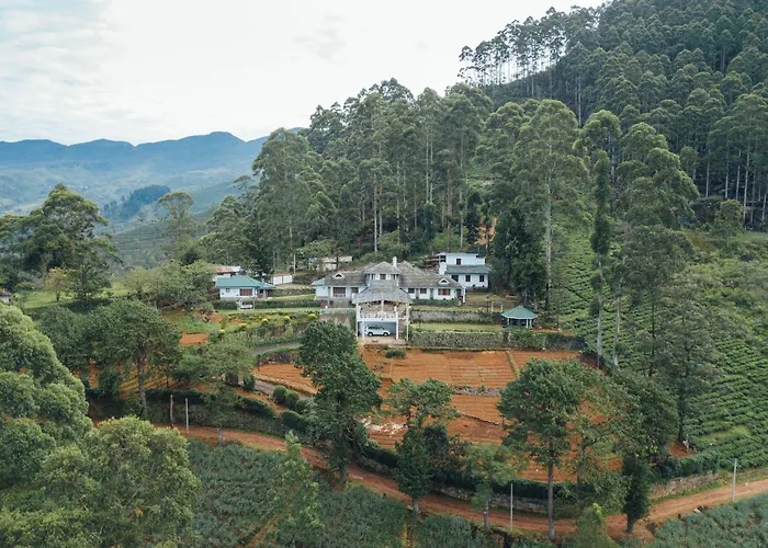 Manuel Manor