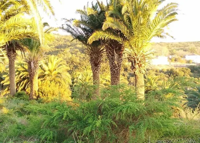 Pensión Amparo Las Hayas Valle Gran Rey