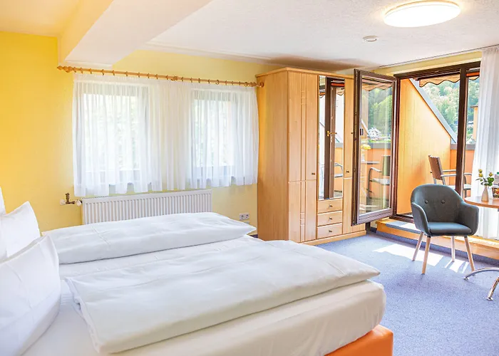 Hotel Elbpromenade Bad Schandau