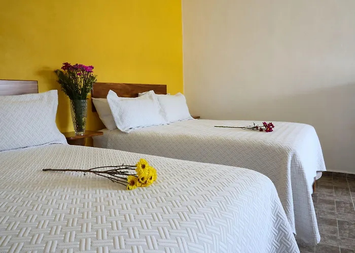 Barra de Navidad Hotels