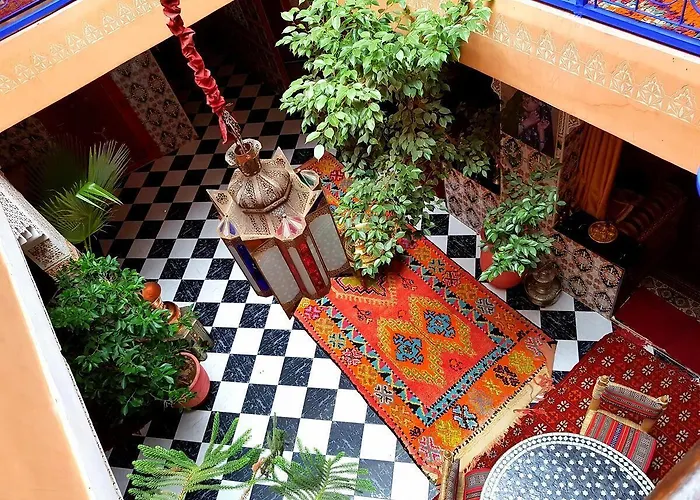 Riad Konouz