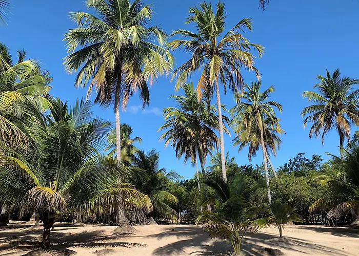 Abaetetuba Pousada São Miguel dos Milagres