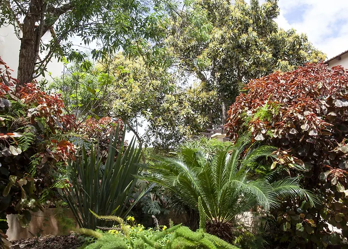 Nava Suites La Laguna 