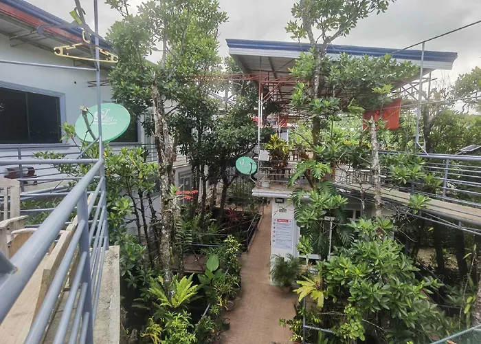 Hotels in SIARGAO ISLAND