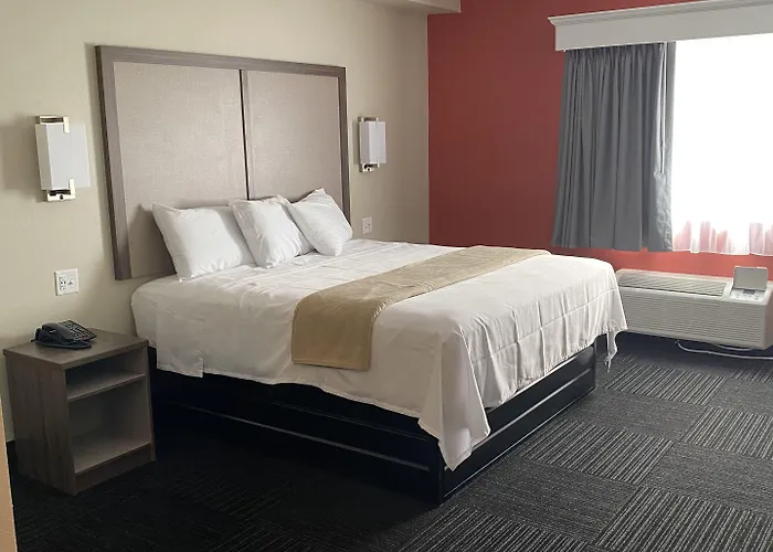 Olive Branch Hotels