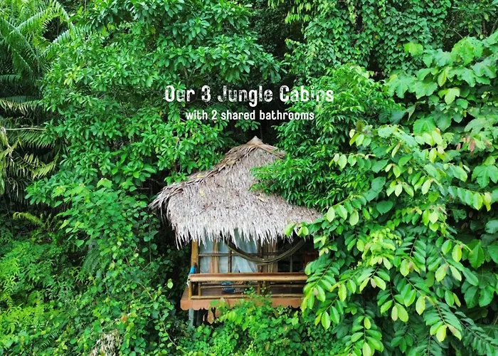 Hotels in Bukit Lawang