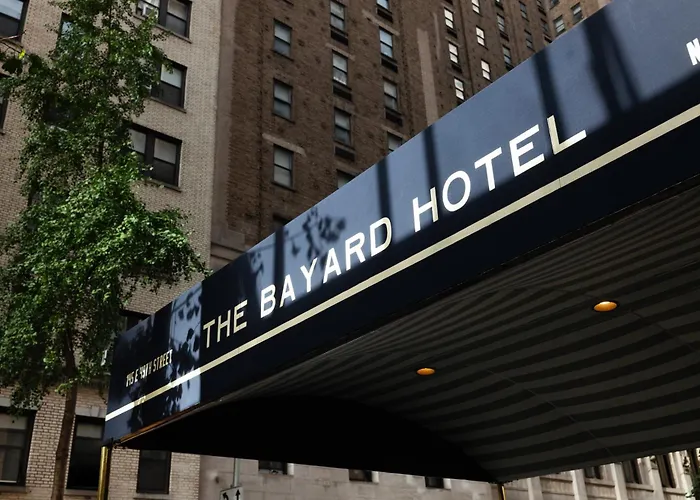 The Bayard