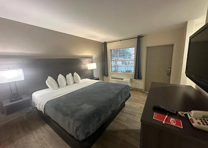 Econo Lodge St Petersburg Central