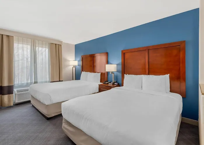 Comfort Inn & Suites Rifle