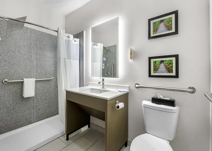 Comfort Suites London South