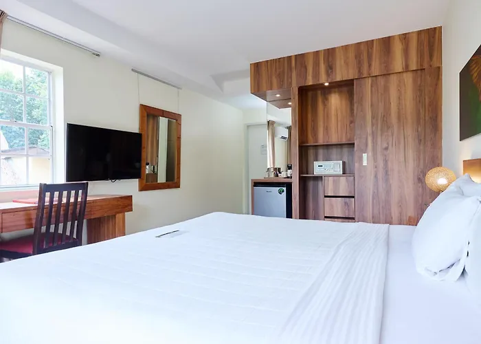 Hotels in Domburg