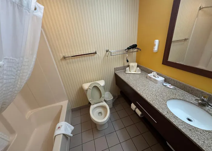 Comfort Inn & Suites Hamburg - Buffalo South