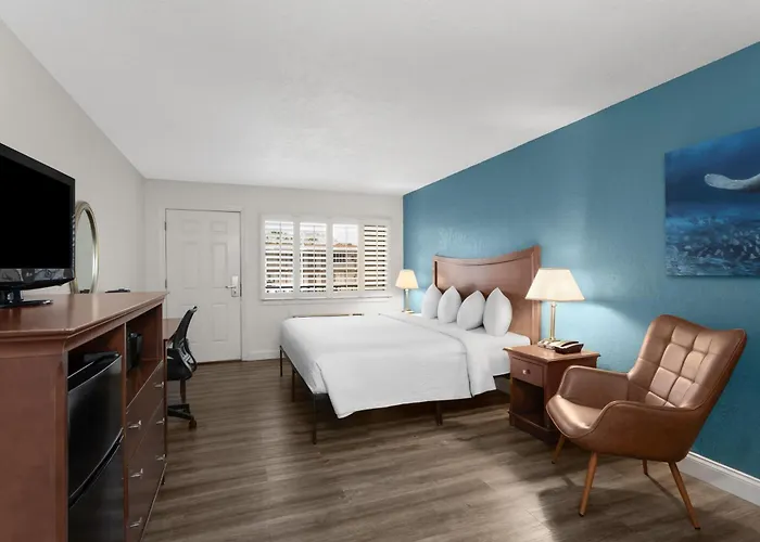 Paddletail Waterfront Lodge, Trademark Collection By Wyndham Crystal River