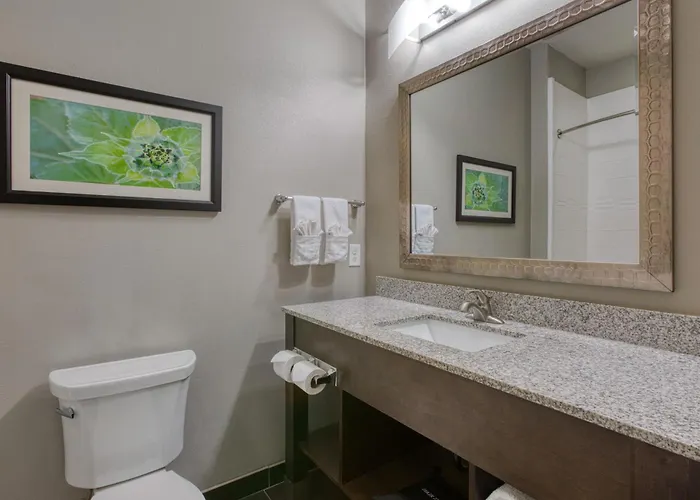 Best Western Plus Tech Medical Center Inn