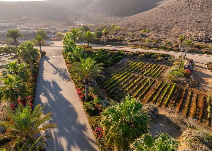 Hotel San Cristobal Adults 15+ Todos Santos
