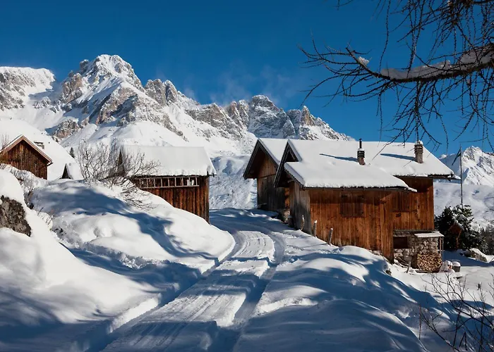Chalet Aster