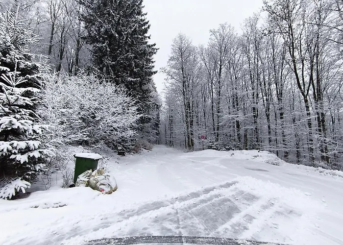 Pension Walddorf Winterberg