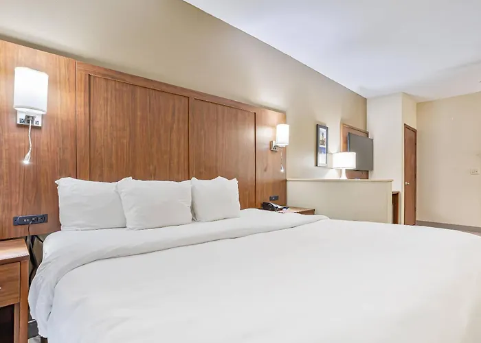 Comfort Inn & Suites Montgomery East Carmichael Rd