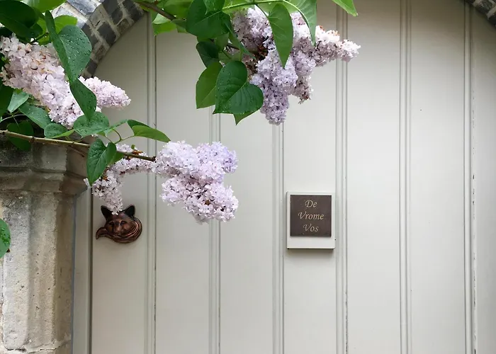 B&B De Vrome Vos Mechelen