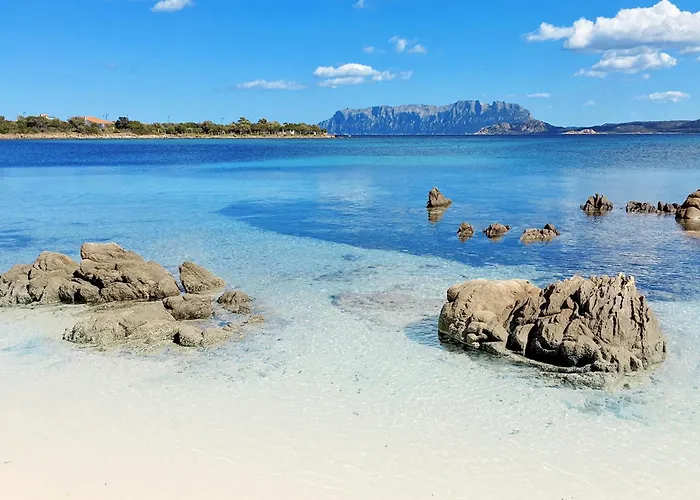 Sea Love Olbia