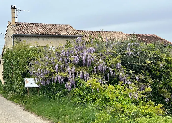 Chambres D'Hotes Et Gites Le Mas Mellou Orange 