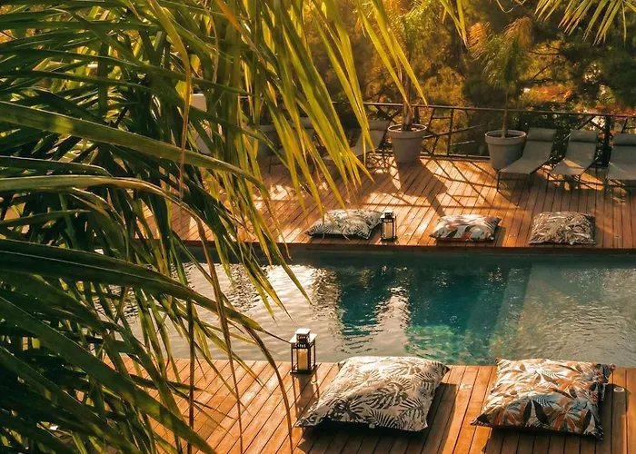 Villa Holistika : Bed And Breakfast / Pool / Air Conditioning/ Mont Faron Toulon