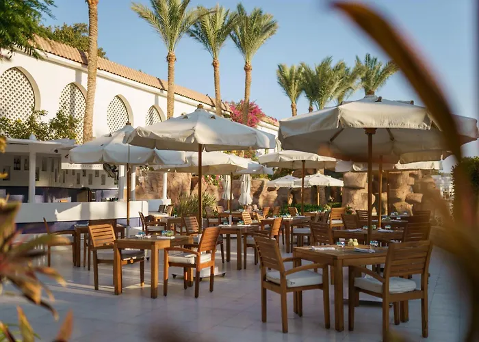 Baron Palms Adults Friendly Only 16 Years Plus Boutique Hotel Style Sharm-el-Sheikh