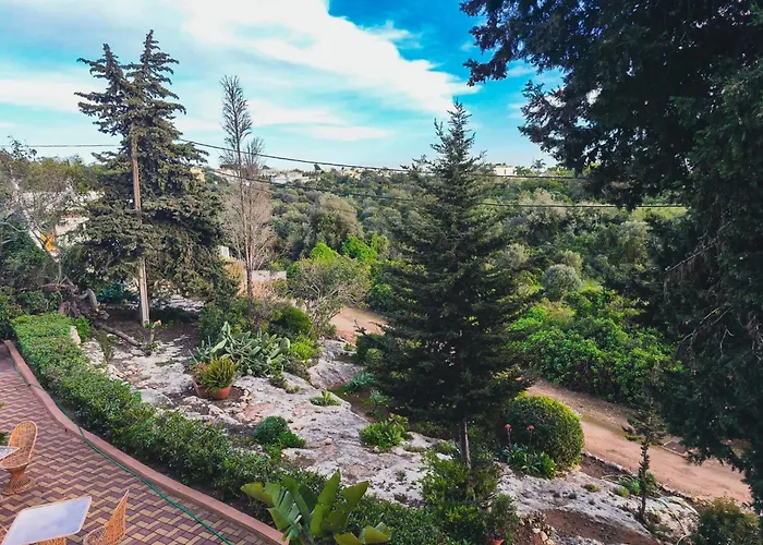 Villa Welwitshia Carvoeiro 